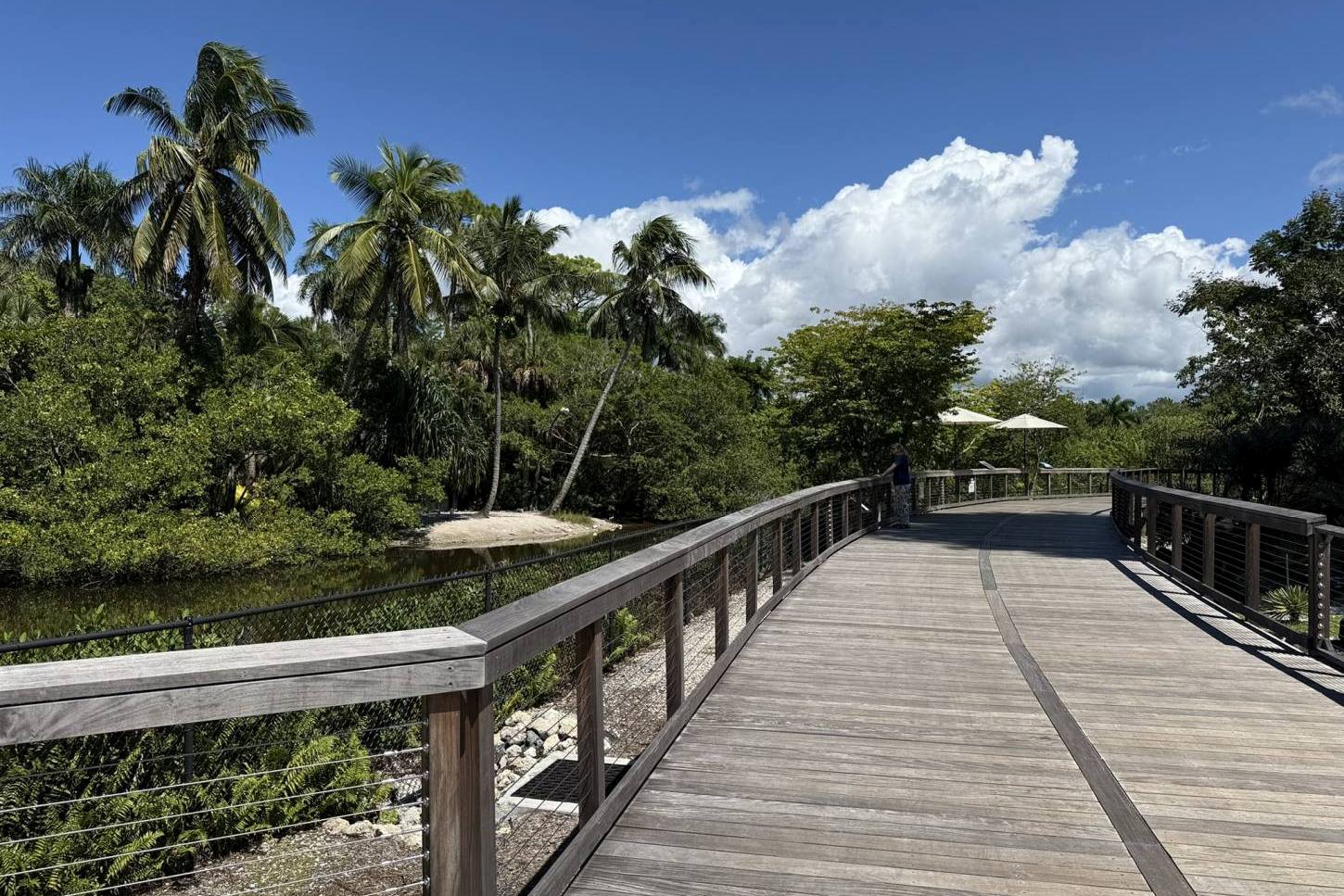 Mitten durch Florida Natur